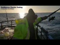 Fishing Report from Eastbourne Charter Fishing - 29th Nov 2019