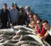 Sea Fishing group with loads of fish they caught